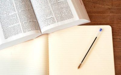 Procurador: ¿Qué es y cuáles son sus funciones?